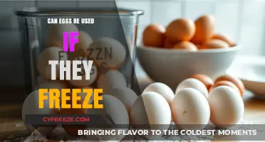 Frozen Eggs: Safe to Use After Thawing? Expert Tips Revealed