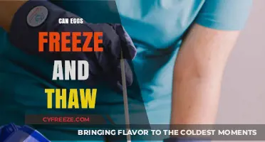 Can Eggs Freeze and Thaw? A Complete Guide to Egg Storage