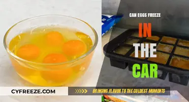 Can Eggs Freeze in Your Car? Surprising Facts Revealed