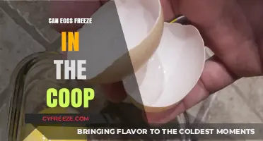 Can Eggs Freeze in the Coop? Winter Care Tips for Fresh Eggs