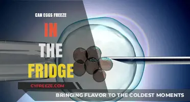 Chill or Not: The Surprising Truth About Freezing Eggs