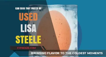 Can Frozen Eggs Be Used? Insights from Lisa Steele's Experience