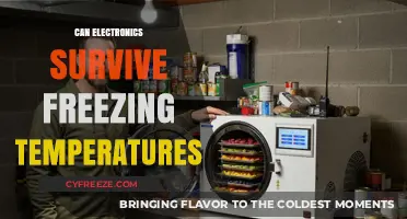 Can Electronics Survive Freezing Temperatures? Shocking Truth Revealed