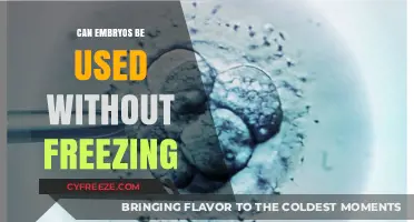 Using Fresh Embryos: Benefits, Risks, and Alternatives to Freezing
