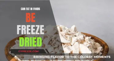 Exploring the Science: Can Fat in Foods Be Freeze-Dried?