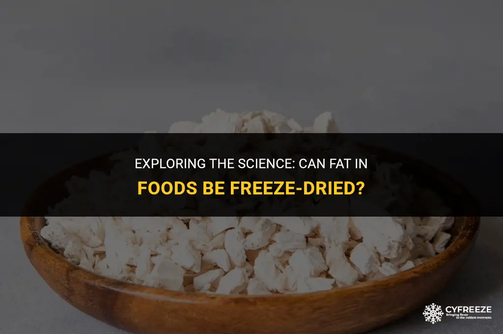 can fat in foods be freeze dried
