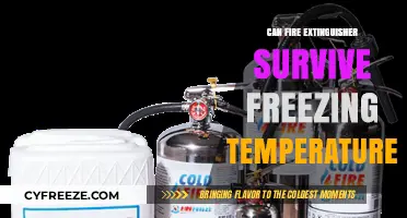 Fire Extinguishers in Freezing Temps: Survival and Effectiveness Explained