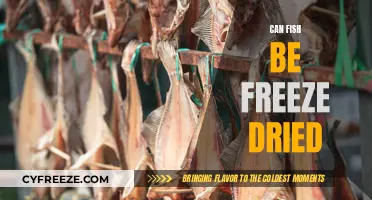 From Sea to Shelf: The Art of Freeze-Drying Fish