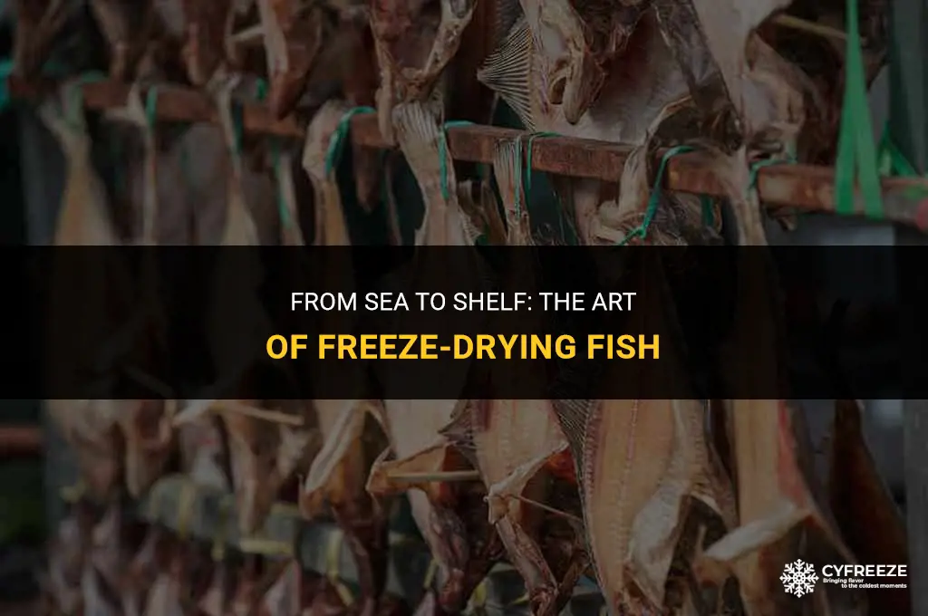 can fish be freeze dried
