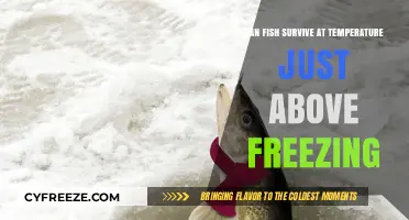Can Fish Survive in Near-Freezing Waters? Exploring Cold Tolerance