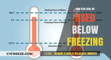 Using Flex Seal in Freezing Temps: What You Need to Know
