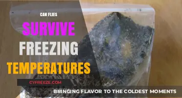 Can Flies Survive Freezing Temperatures? Uncovering Their Winter Survival Secrets