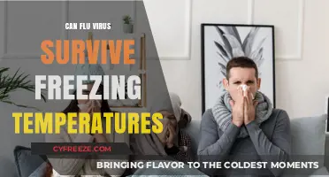 Can Flu Viruses Survive Freezing Temperatures? Uncovering the Chilling Truth