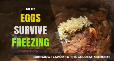Can Fly Eggs Survive Freezing? Uncovering the Truth About Cold Resistance