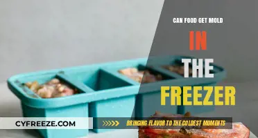 Can Food Mold in the Freezer? Debunking Common Myths