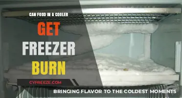 Can Food in a Cooler Get Freezer Burn? The Truth Revealed