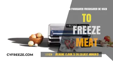 FoodSaver FreshSaver for Freezing Meat: A Complete Guide
