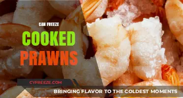 Savor the Flavor: The Ultimate Guide to Freezing Cooked Prawns
