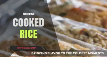 Reviving Leftovers: The Do's and Don'ts of Freezing Cooked Rice