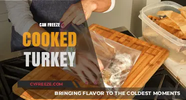 Smart Storage: Can You Freeze Cooked Turkey Safely?