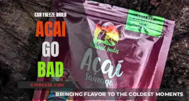 Does Freeze-Dried Acai Have a Shelf Life? Expert Insights