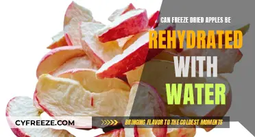 Reviving Crunch: The Simple Guide to Rehydrating Freeze-Dried Apples