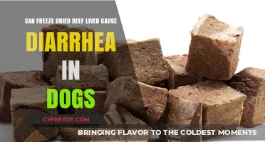Can Freeze-Dried Beef Liver Cause Diarrhea in Dogs?