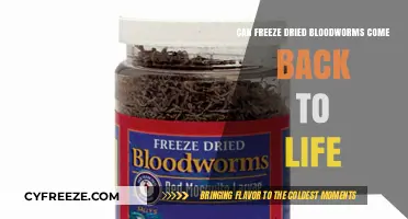Reviving Freeze-Dried Bloodworms: Fact or Fiction?
