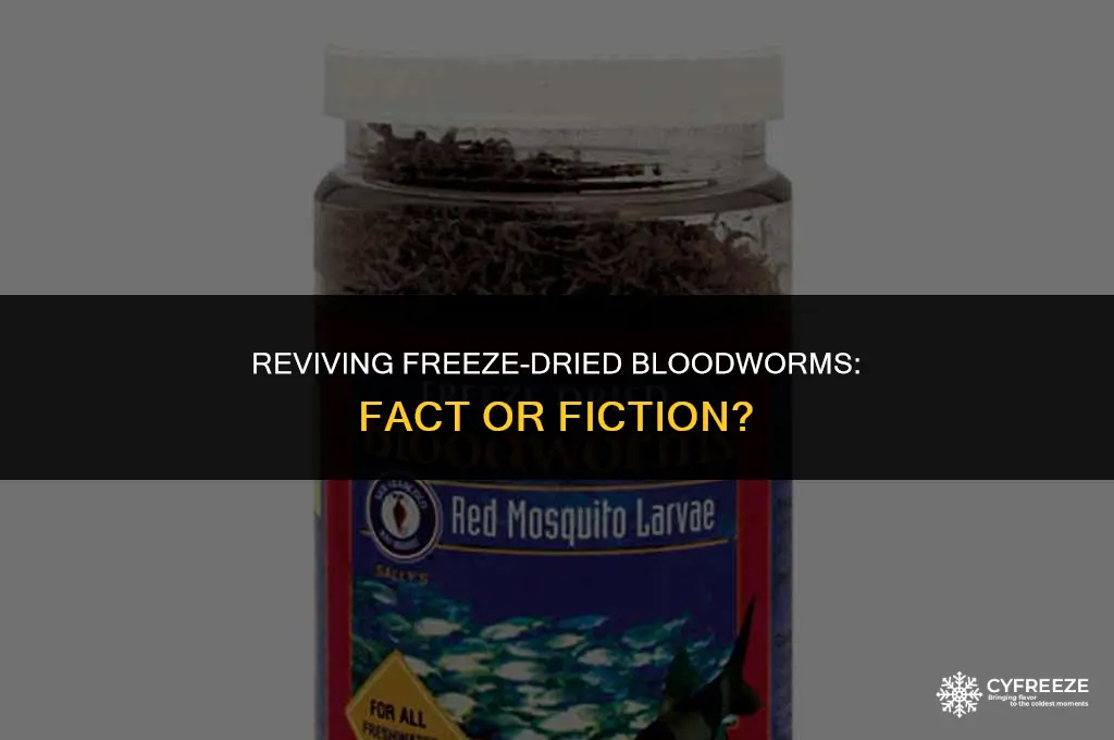 can freeze dried bloodworms come back to life