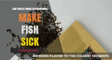 The Impact of Freeze-Dried Bloodworms on Fish Health