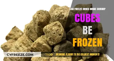 Preserving Nutrition: The Ultimate Guide to Freezing Freeze-Dried Brine Shrimp Cubes