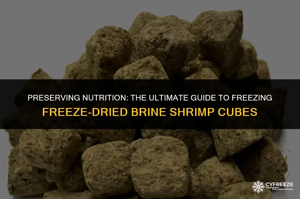 can freeze dried brine shrimp cubes be frozen