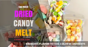 The Sweet Science: Can Freeze-Dried Candy Really Melt?