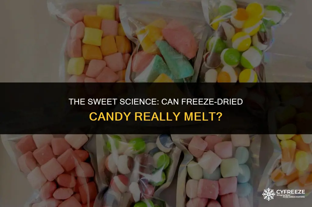 can freeze dried candy melt