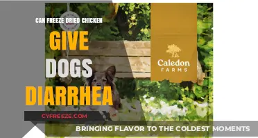 Can Freeze-Dried Chicken Cause Diarrhea in Dogs?