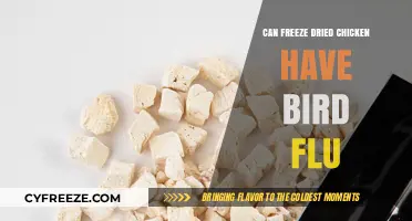 Can Freeze-Dried Chicken Carry Bird Flu? Facts and Safety Tips