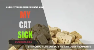 Can Freeze-Dried Chicken Snacks Make My Cat Sick?