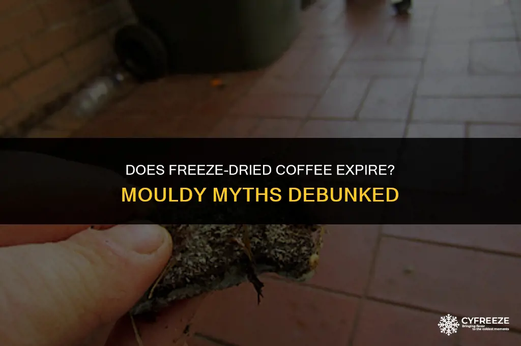 can freeze dried coffee go mouldy