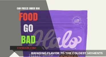 Does Freeze-Dried Dog Food Expire? A Comprehensive Guide
