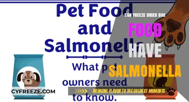 Can Freeze-Dried Dog Food Contain Salmonella? A Pet Owner's Guide