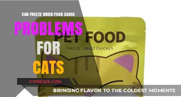 Exploring the Risks: Can Freeze-Dried Food Harm Your Feline Friend?