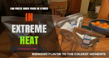 Preserving Freeze-Dried Foods in Extreme Heat: A Comprehensive Guide