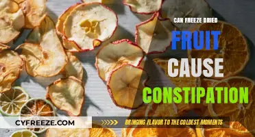Exploring the Link Between Freeze-Dried Fruit and Constipation
