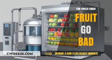 The Shelf Life of Freeze-Dried Fruit: Does It Ever Go Bad?