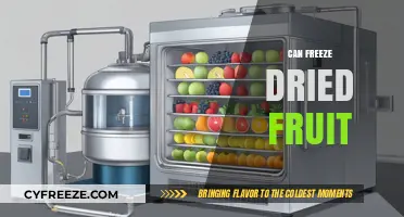 Exploring the Shelf Life: Can Freeze-Dried Fruit Go Bad?