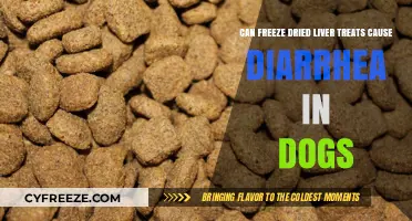Can Freeze-Dried Liver Treats Cause Diarrhea in Dogs?