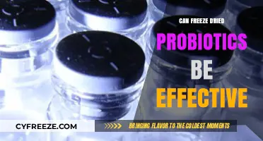 Unlocking the Potential: Can Freeze-Dried Probiotics Deliver?