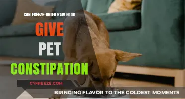 Can Freeze-Dried Raw Food Cause Constipation in Pets?