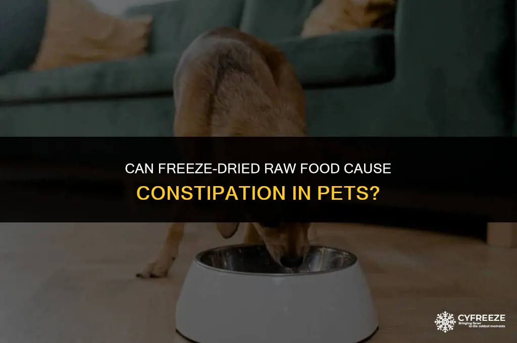 can freeze-dried raw food give pet constipation