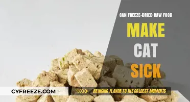 Exploring the Risks: Can Freeze-Dried Raw Food Harm Your Cat?